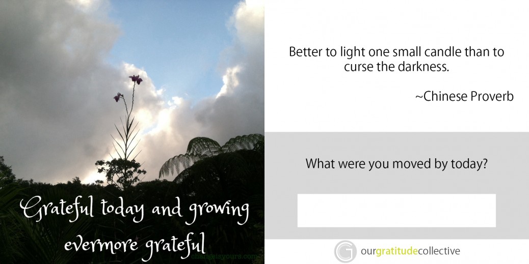 52 Weeks of Inspiring Gratitude Photos, Quotes and Questions