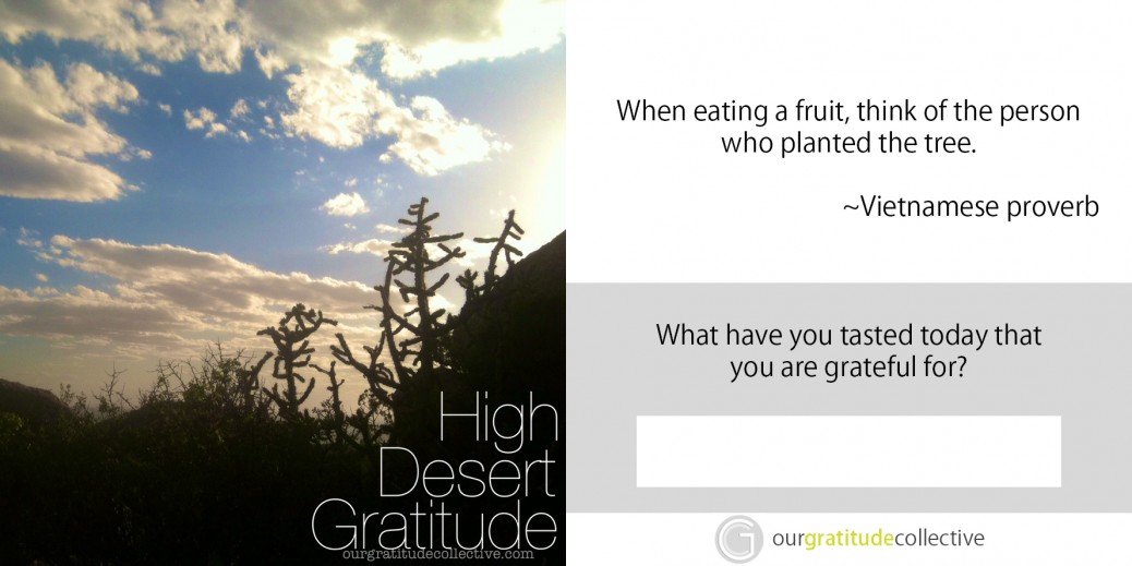 52 Weeks of Inspiring Gratitude Photos, Quotes and Questions