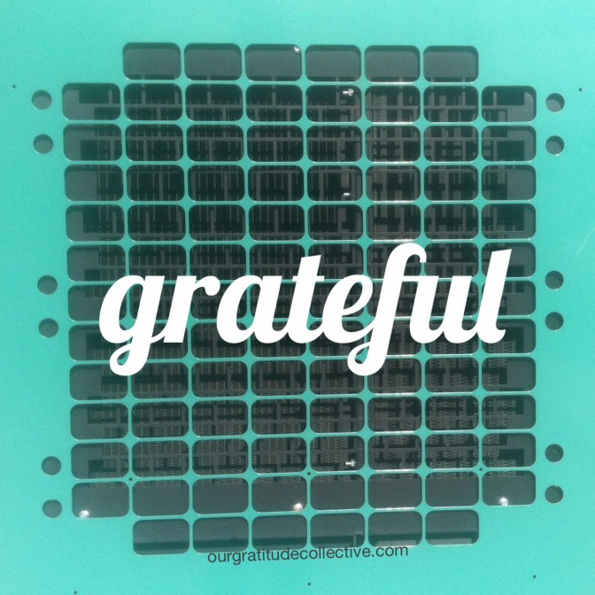 Transforming our Experiences through Gratitude