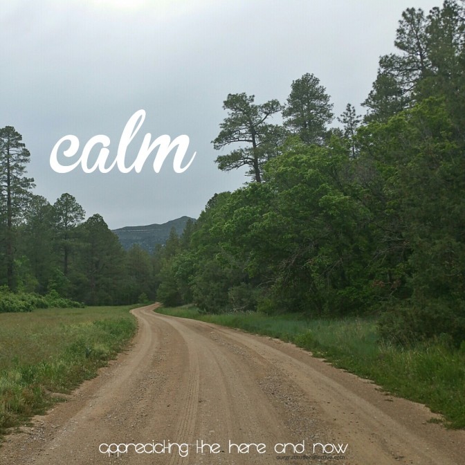 Desperately Seeking Calm