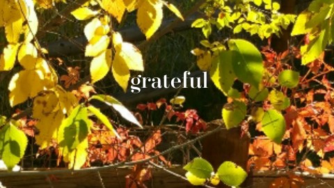 Confuse Your Family with Being Grateful for the Dismissed