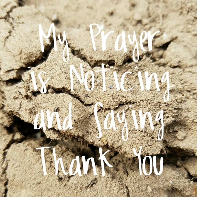 My Prayer is Noticing and Saying Thank You
