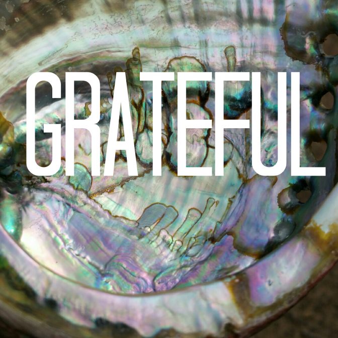 Which Gratitude Is Better?