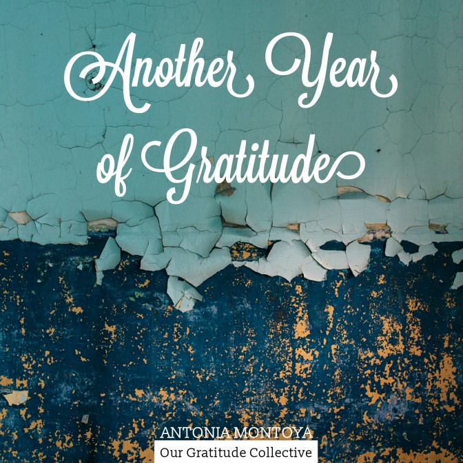 Download Your 2016 Anthology eBook