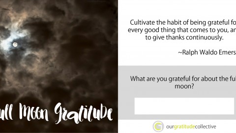 2017 Gratitude Anthology eBook